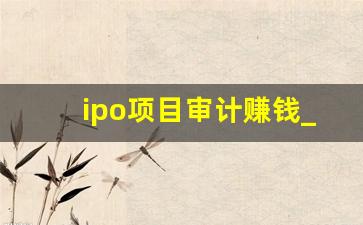 ipo项目审计赚钱_一个IPO的审计项目要做多久